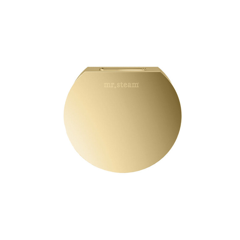 Tête à vapeur Designer avec réservoir AromaTherapie de 3 po rond , Laiton poli