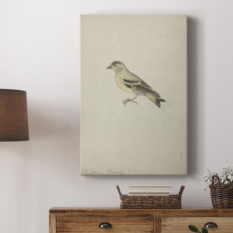 Reproduction animalière rétro III - galerie Cavas, H 18 po x l 12 po