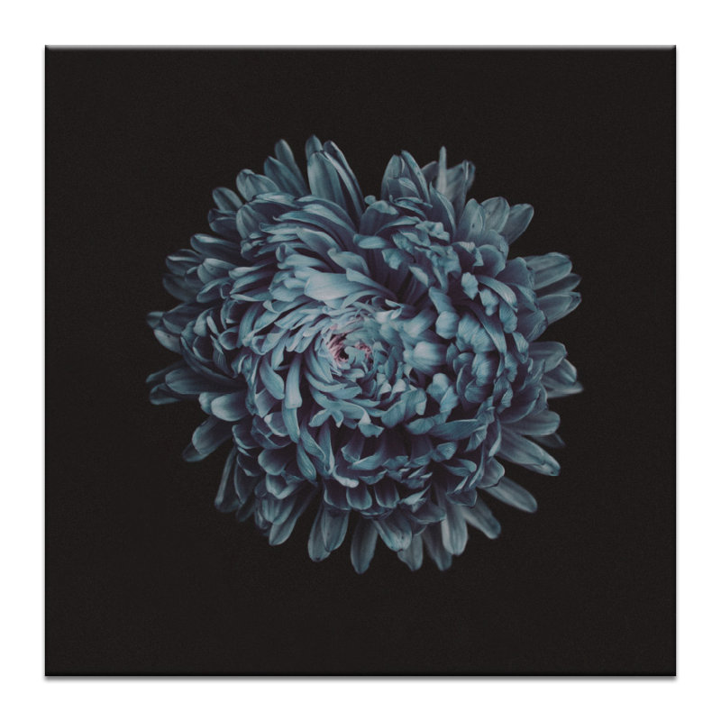 Print on Canvas, 41cm H x 41cm W, Wrapped Canvas