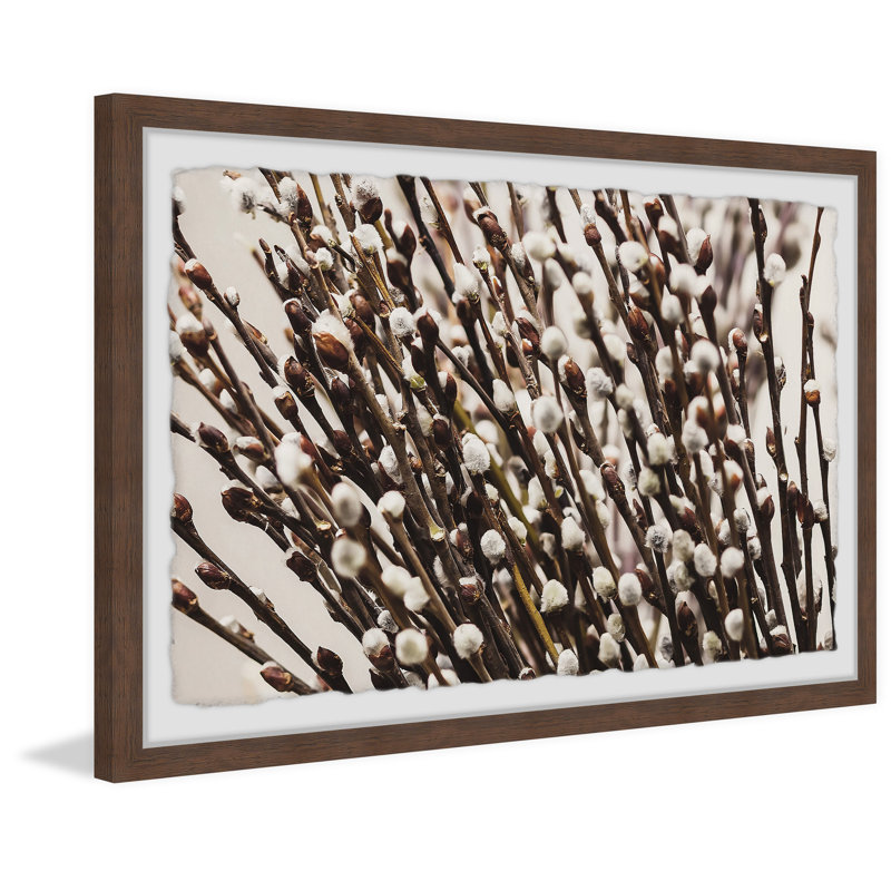 Cotton Flowers - Single Picture Frame Painting, 38 cm H x 45 cm W
