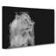 Wild Lioness In Abstract - Wrapped Canvas-55302088