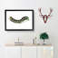 Illustration of a Green Caterpillar - Framed Print-55641492-55641488