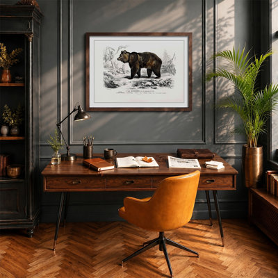 Brown Bear - Framed Print