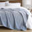 Carved Plush Standard Throw Blanket-791558708-791558711