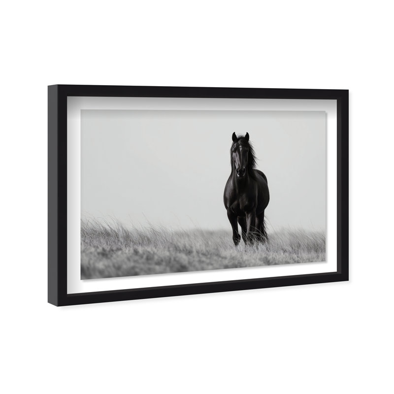 Lone Stallion I Framed Graphic Art, 21.5" H x 31.5" W, Black Shadowbox