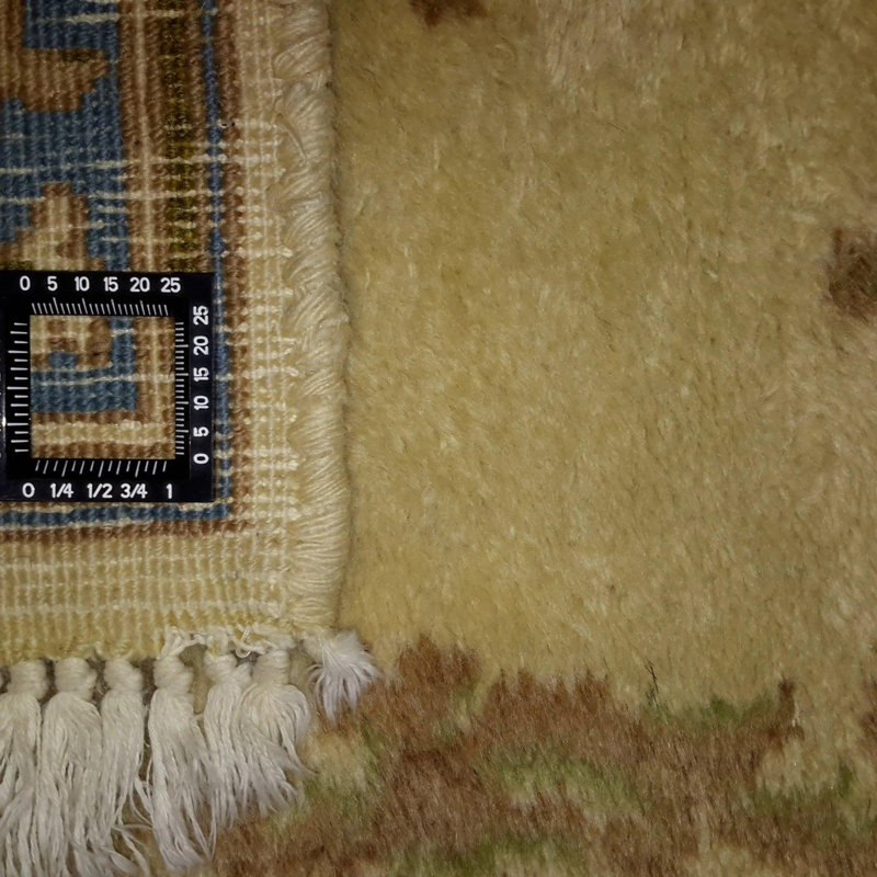 Oriental Area Rug in Beige