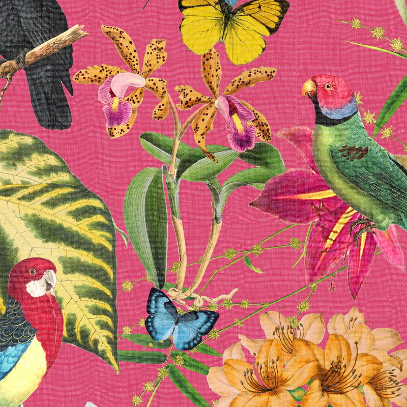 Envy Paradiso Multi Removable Wallpaper, Pink