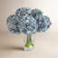 Hydrangea Bouquet In Vase