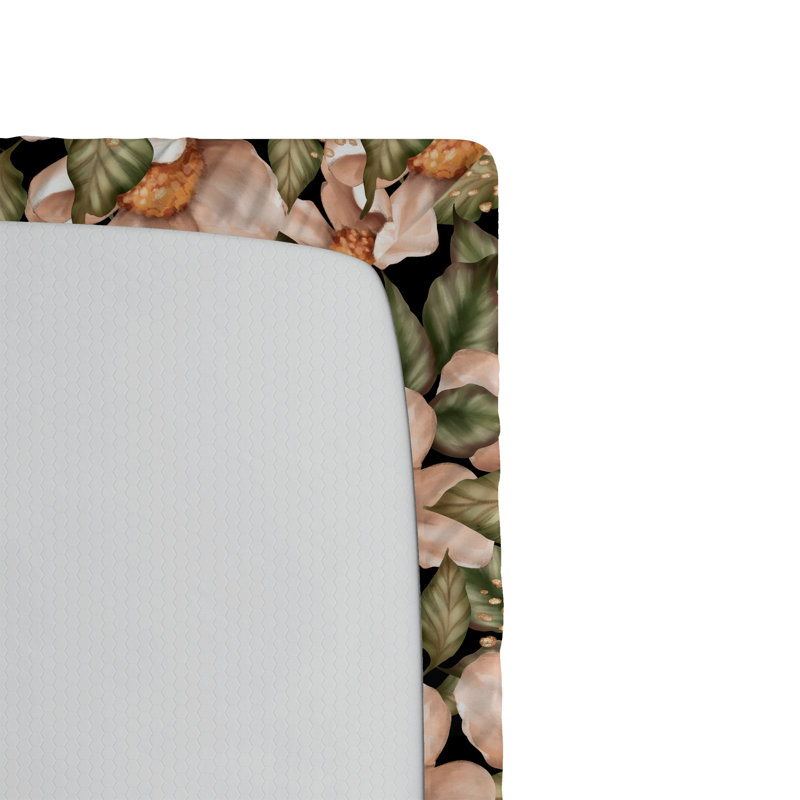Drap-housse Ambesonne