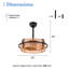 20 " Ceiling Fan