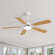 Kaleth 52'' Ceiling Fan with LED Light