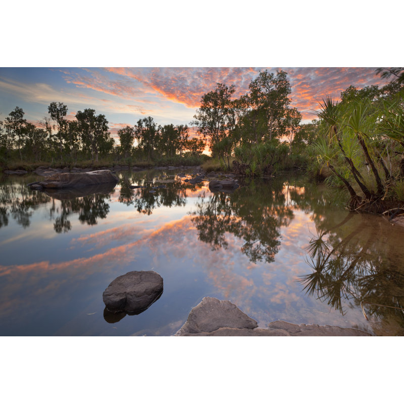Small Pond At Manning Gorge by Sara_winter - Wrapped Canvas Print, 51cm H x 76cm W x 3.8cm D