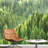 Aerial View Pine Tree Forest-88769877