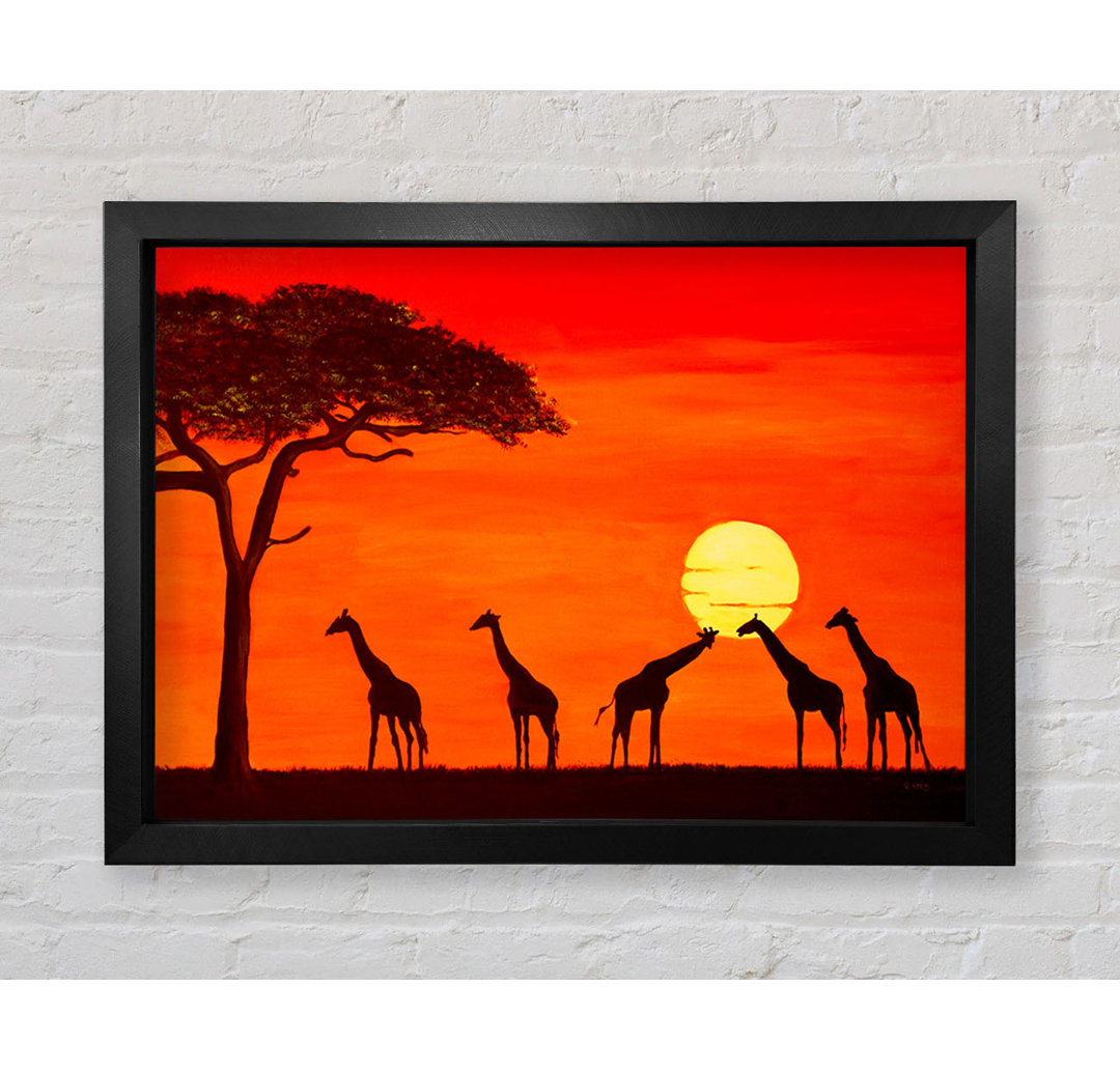 Giraffen bei Sonnenuntergang - Einzelne Bilderrahmen Kunstdrucke