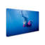 « blue water », reproduction de photo sur toile tendue-23534091