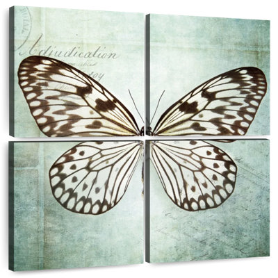 Brampt papillon français VI