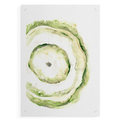 Lichen Halo III - Impression sur toile seulement - NON-CADRE