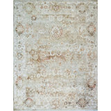 Hand Knotted Area Rug in Brown