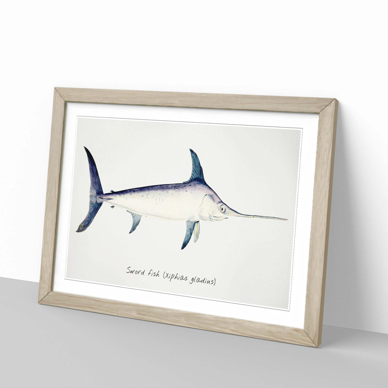 Illustration of a Swordfish by F.E. Clarke - Picture Frame Graphic Art Print, 27cm H x 36cm W x 2cm D, Oak Framed