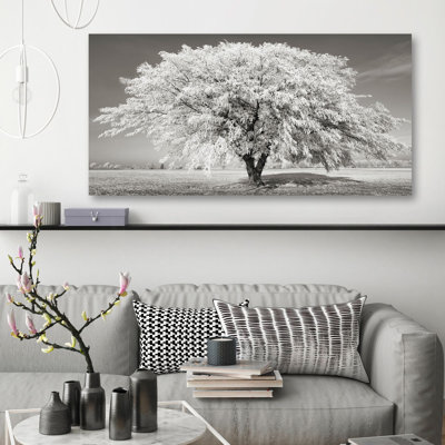 Lime Tree With Frost, Bavaria, Germany by Frank Krahmer - Wrapped Canvas Print