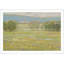 «Summer Pasture I» par Stephen Calcasola - reproduction d'art encadrée-1421617937-1377222889