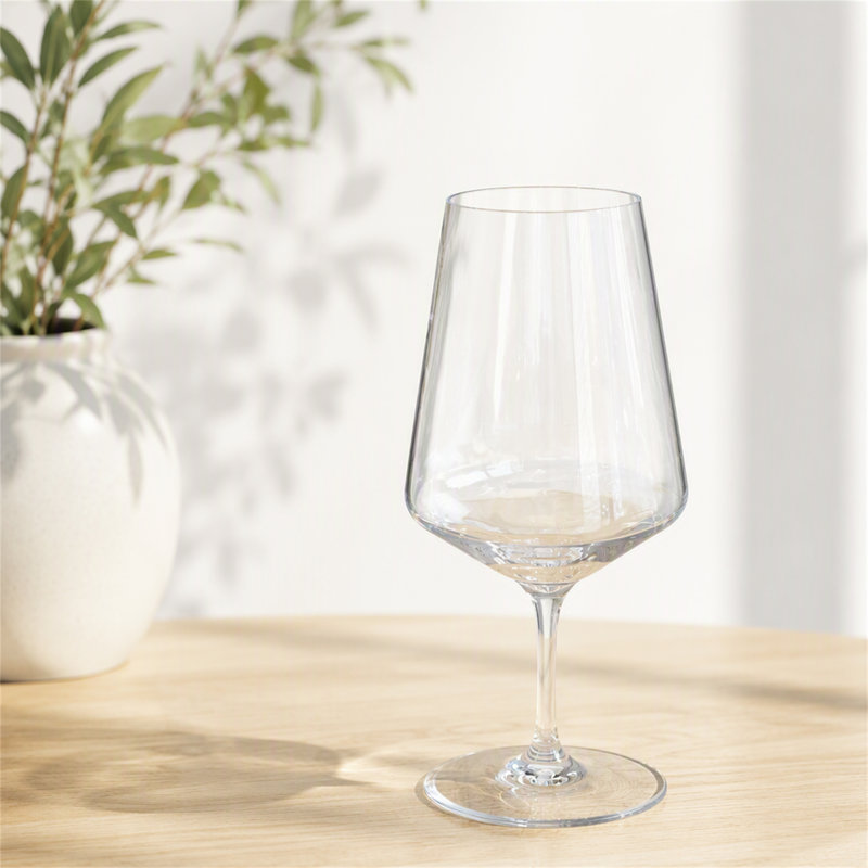 Ensemble de 4 verres à vin en plastique (56 cl)