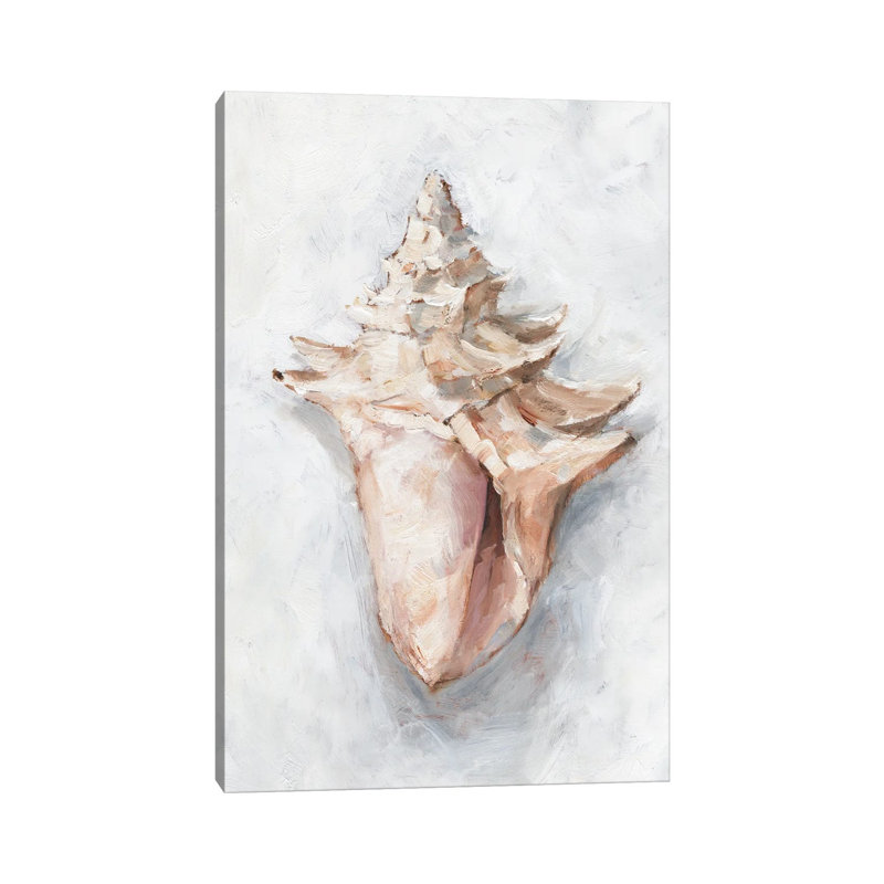 White Shell Study I by Ethan Harper - Wrapped Canvas Gallery-Wrapped Canvas Giclée, 20.32 cm H x 30.48 cm W