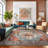 Transitional Medallion Washable Non Slip Area Rug-1254216268
