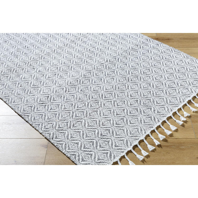 Bhaktivinod Hand Woven Area Rug