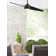 Annasophia 60'' Ceiling Fan with LED Lights
