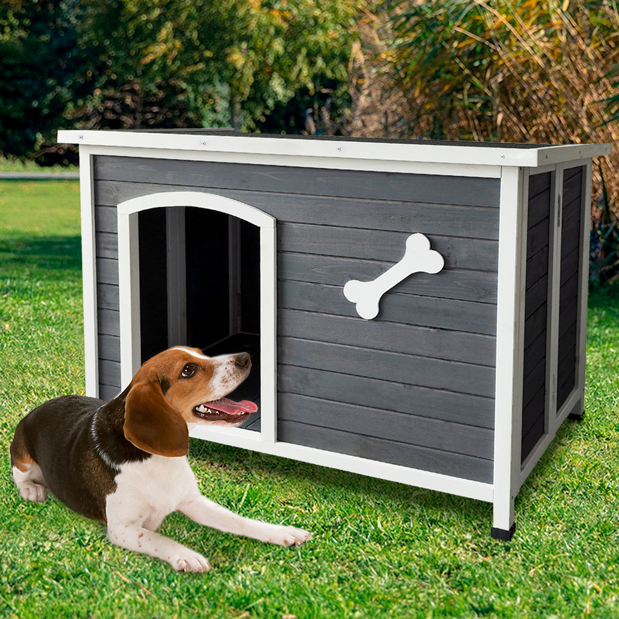 Dog Crate Liddle Dogeden Open Yard Underground Dog Kennel Liddle