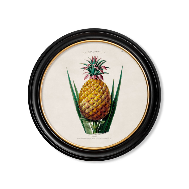 Pineapple by Mid-1800s - Single Picture Frame Print on Archival Matt 230gsm Paper