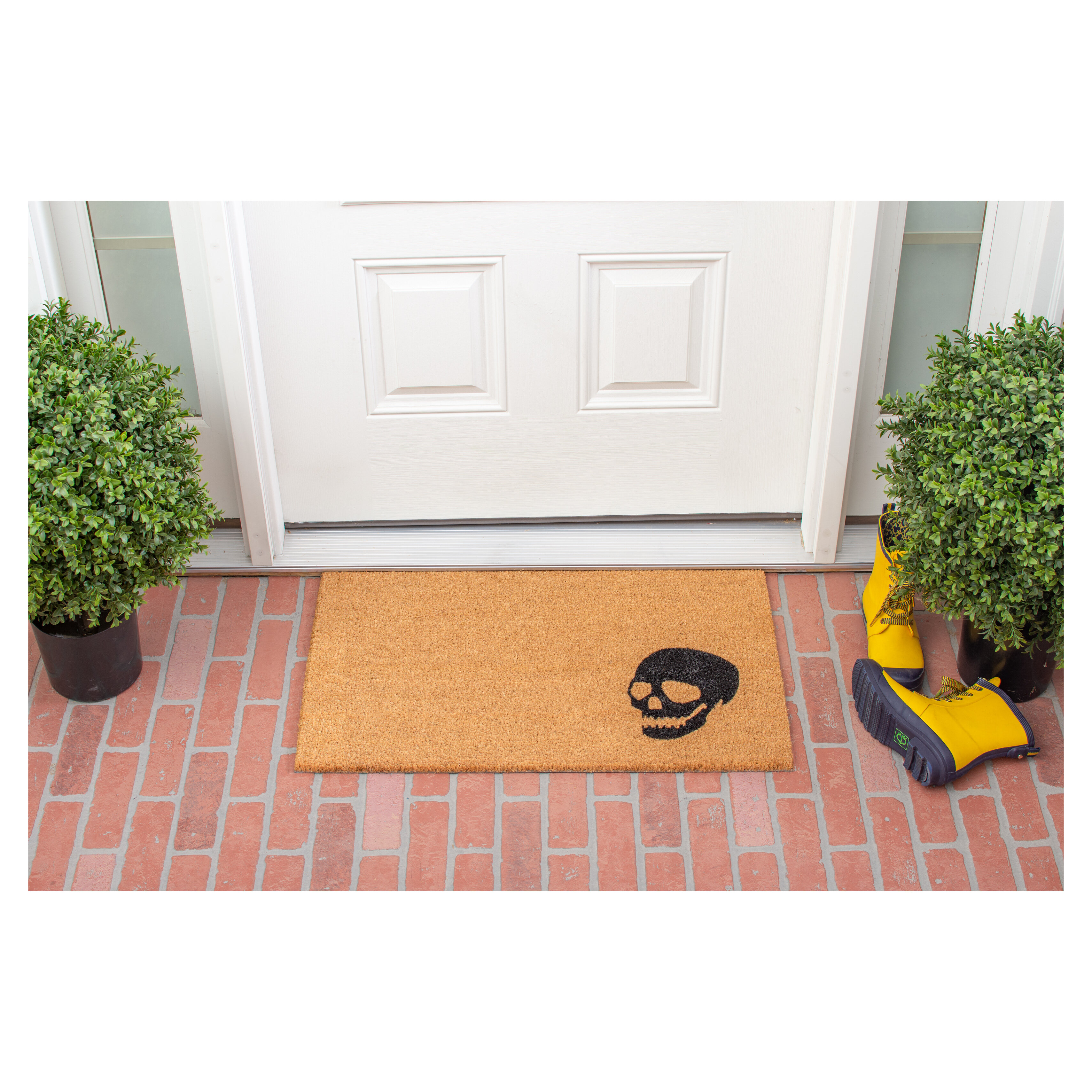 https://assets.wfcdn.com/im/64238380/compr-r85/1204/120437126/non-slip-halloween-outdoor-doormat.jpg