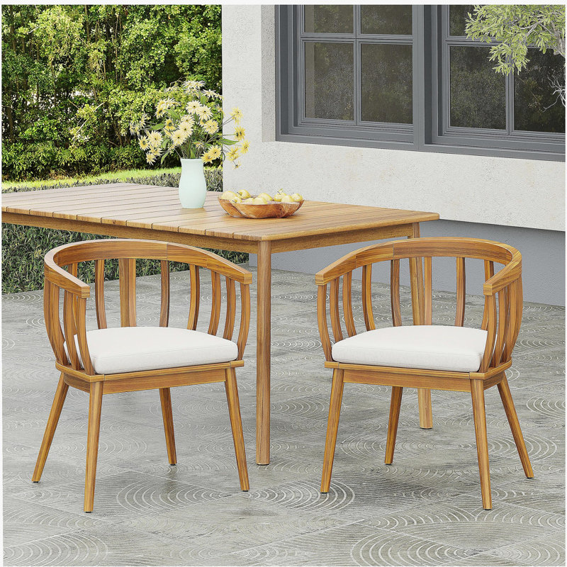 Klismos Dining Armchair(Set of 2)