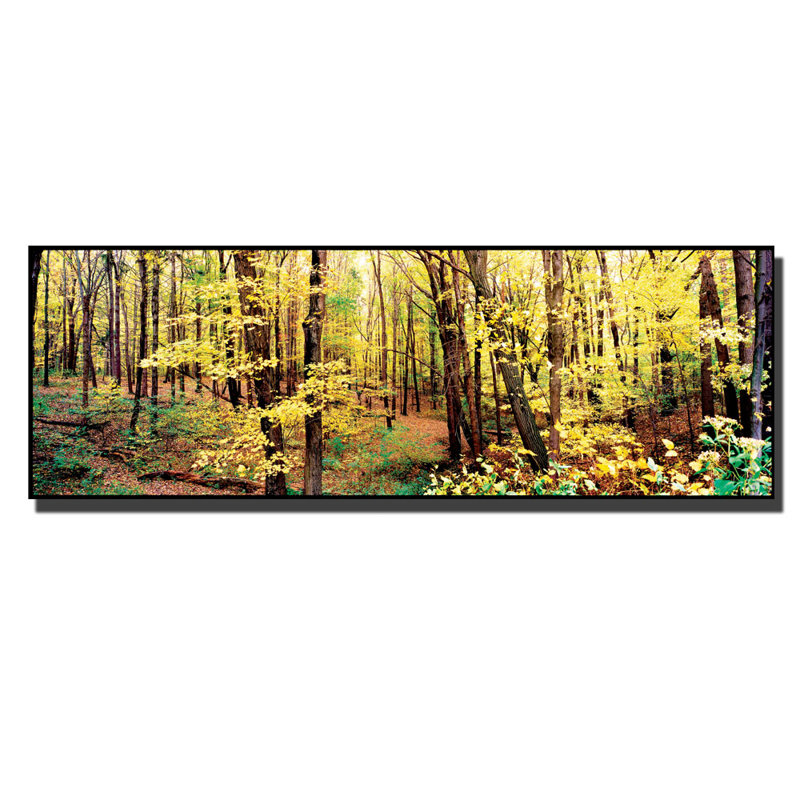 Framed Landscape Photography Canvas Art in Yellow and Green