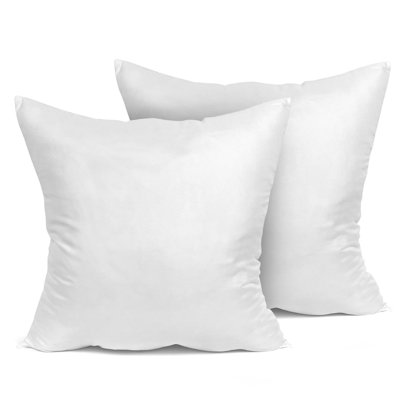 Pillow Insert