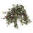 Wandering Jew Silk Plant with Metal Planter