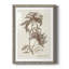 Sépia fougère Variétés III encadré mat - prêt à accrocher-1539906640-1539906645