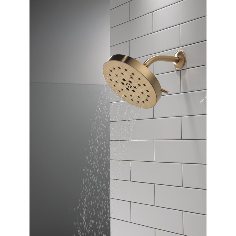 Multi Function Adjustable Shower Head, Lumicoat Champagne Bronze