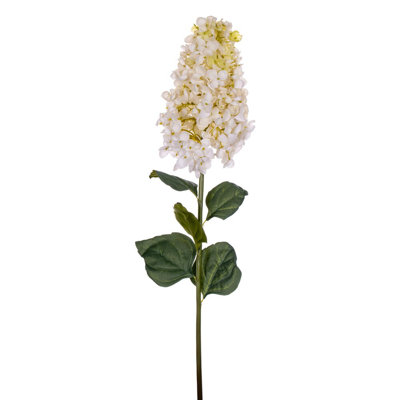 Hydrangea Stem
