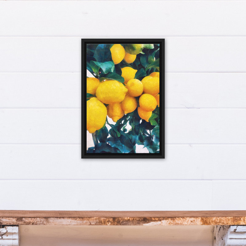 « citron tree », reproduction de photo sur toile encadrée