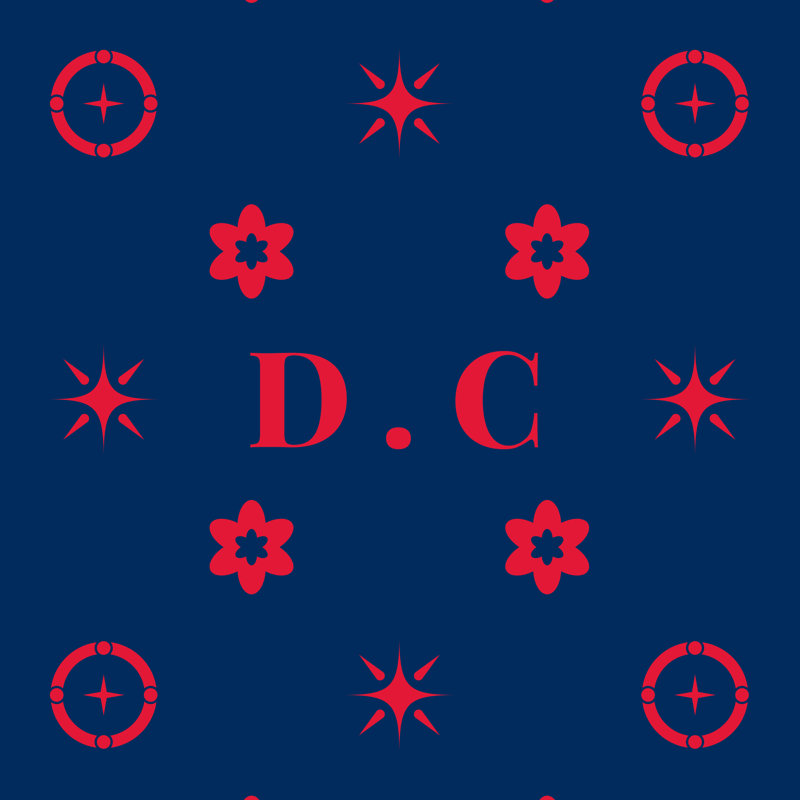 Coussin en coton DC