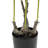 2 Pieces Artificial Rose Tree-1706220525