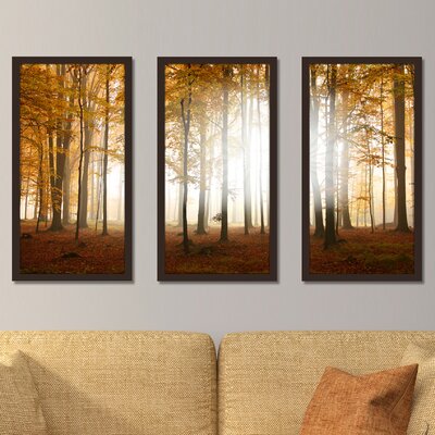 Fall - 3 Piece Picture Frame Photograph Print Set on Acrylic -  Picture Perfect International, 704-2070-1224
