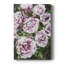 Rose Rhapsody I - peinture sur toile tendue-643493250