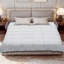 Polyester Solid Colour Duvet Cover-124584729-124584727