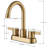2-handle Bathroom Faucet with Drain Assembly