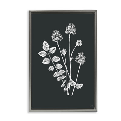 Toile flottante encadrée Herb Bunches Impression par House Fenway