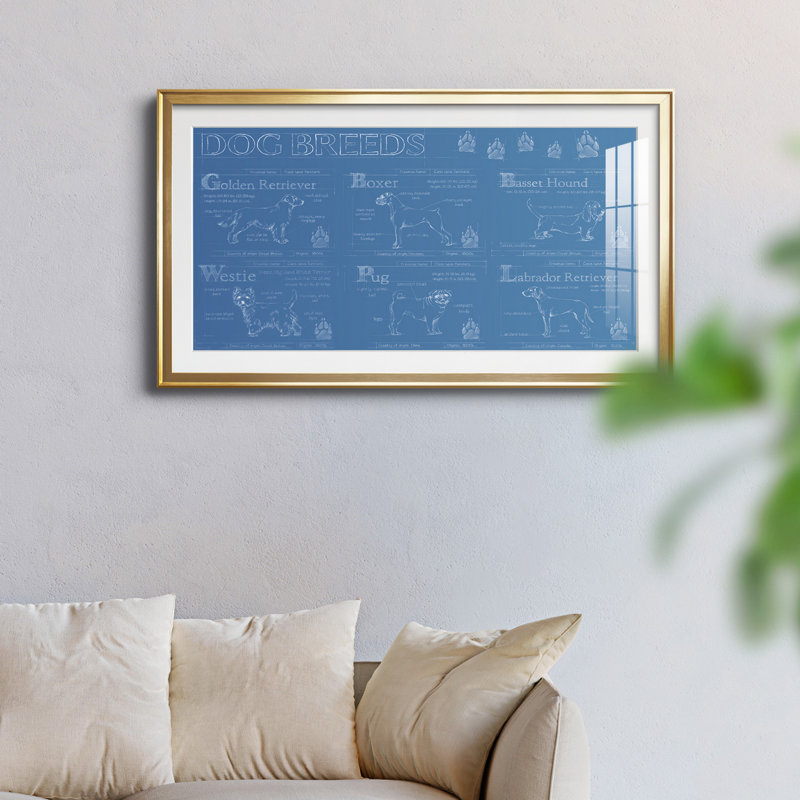 «Dog Breeds Infograph», reproduction encadrée de qualité supérieure, prête à être accrochée, H 14,5 po x l 26,5 po x P 1 po