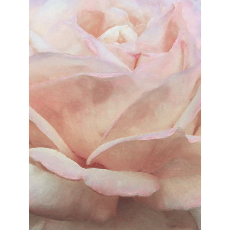 Soft Flower Petals I by Alonzo Saunders - Wrapped Canvas Print, 46 cm H x 30 cm W
